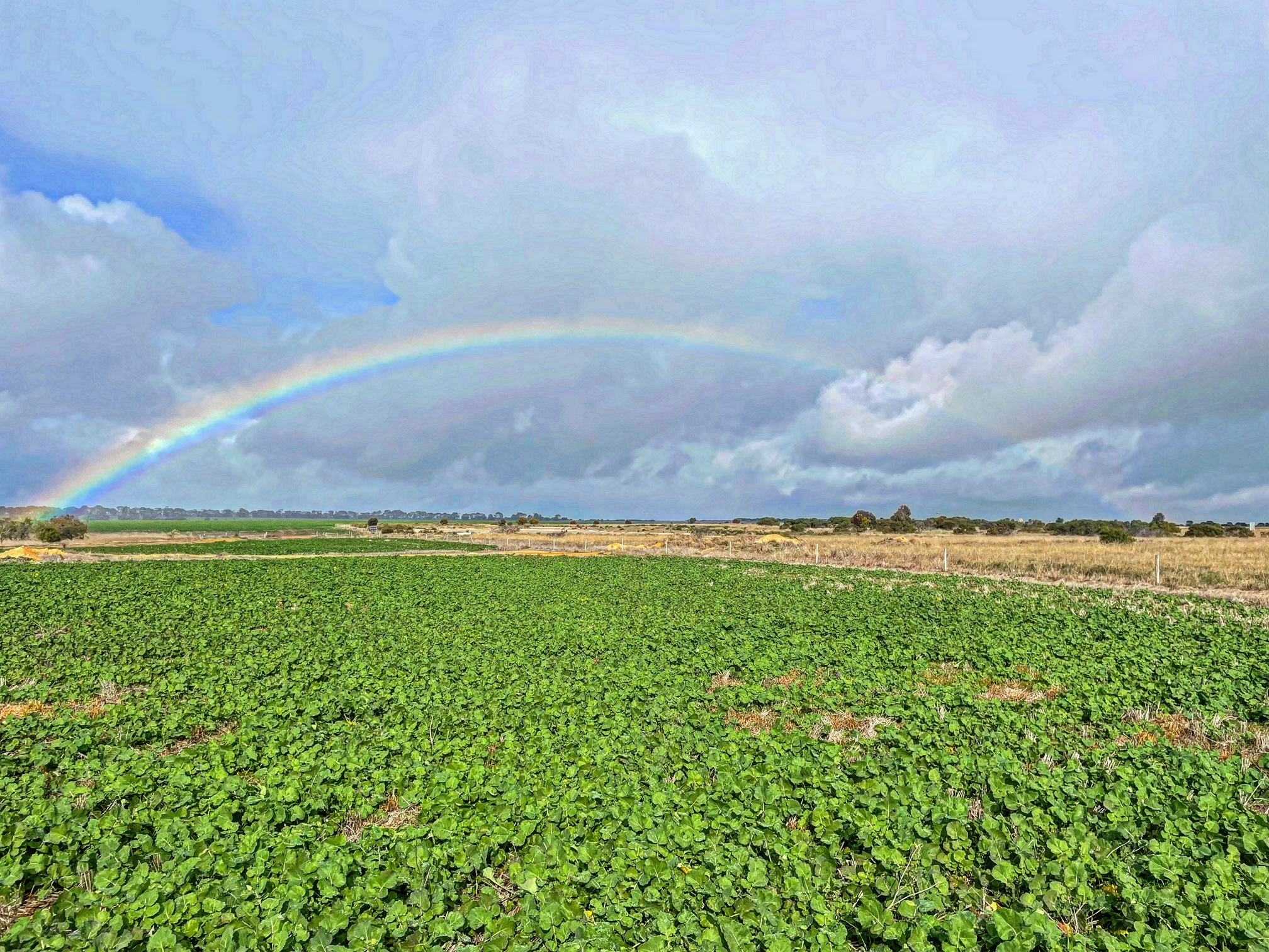 Hazards in Grain Farming