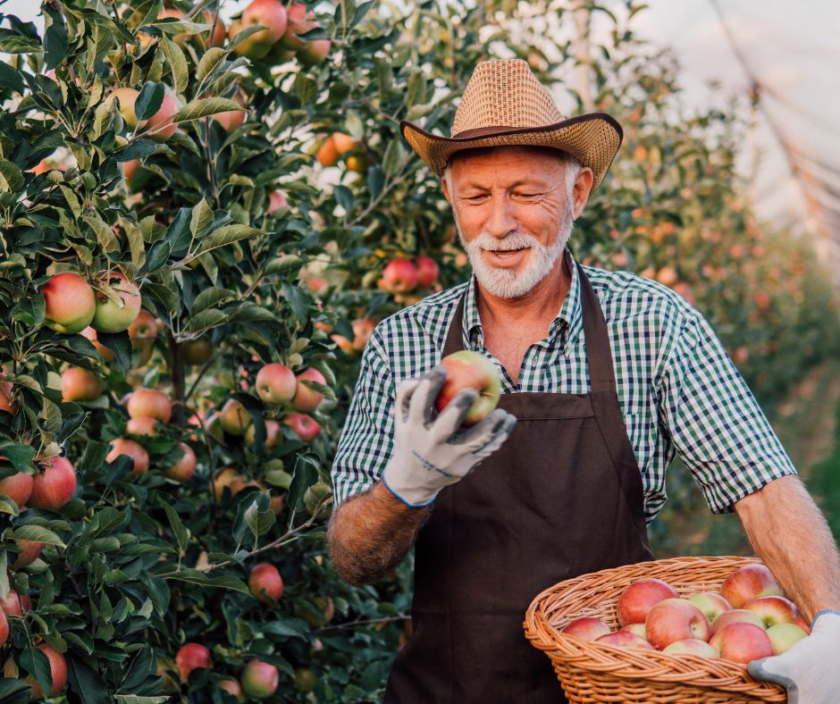 The effects of dementia on farm life