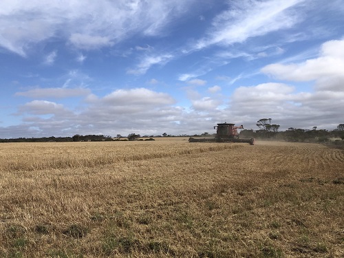 How to hire the right people for your agribusiness